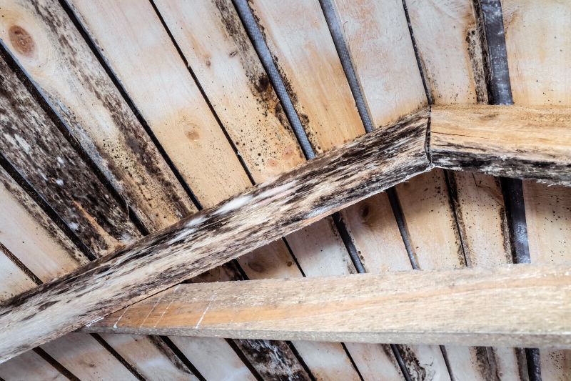 Sagging Floor Joist Repair